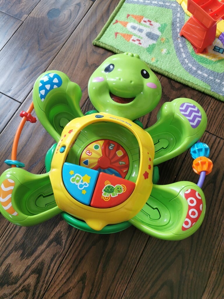 rock and pop turtle